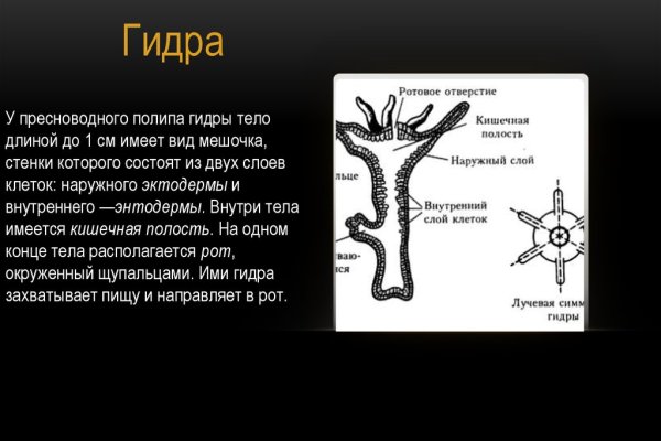 Что случилось с кракеном сайт