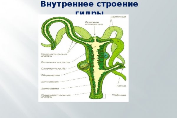 Кракен сыл ссылка